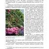 Studium muzealne 2016 - obrazek 6