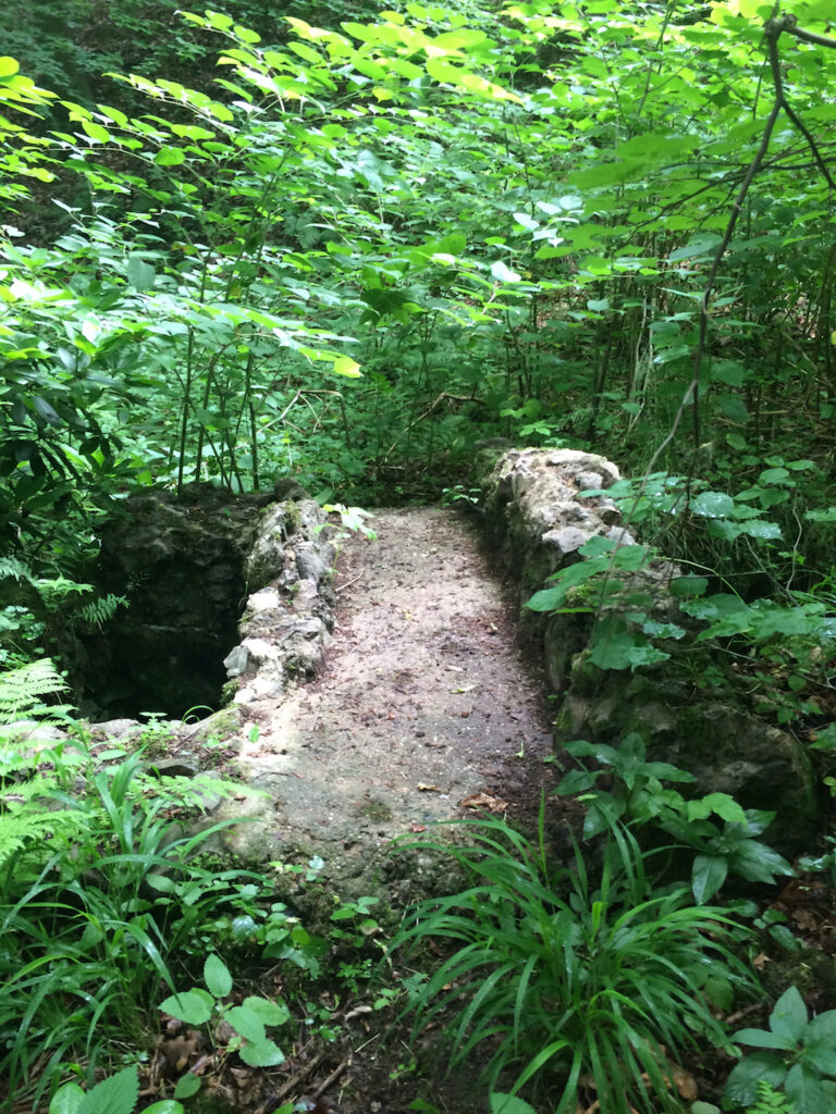 Pozostałość kamiennego mostka nad strumieniem Poleśnicy