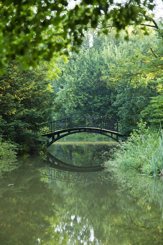 Most w parku widok współczesny