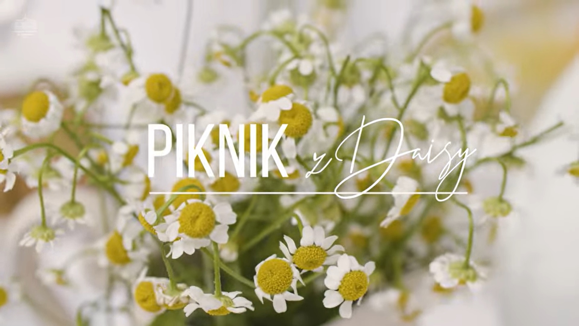 Piknik z Daisy