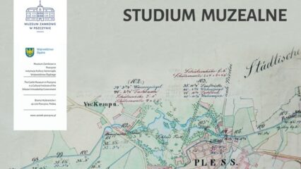 Studium muzealne