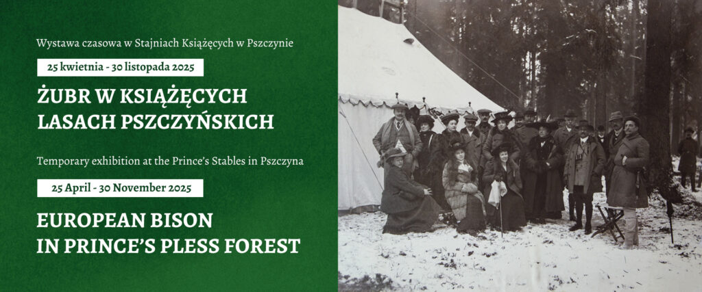 Żubr w książęcych lasach pszczyńskich_baner 1920x800