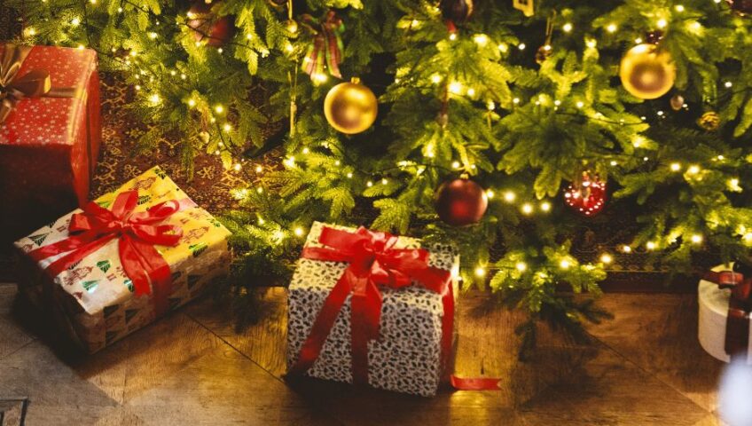 Lexel (prawie) sam w zamku