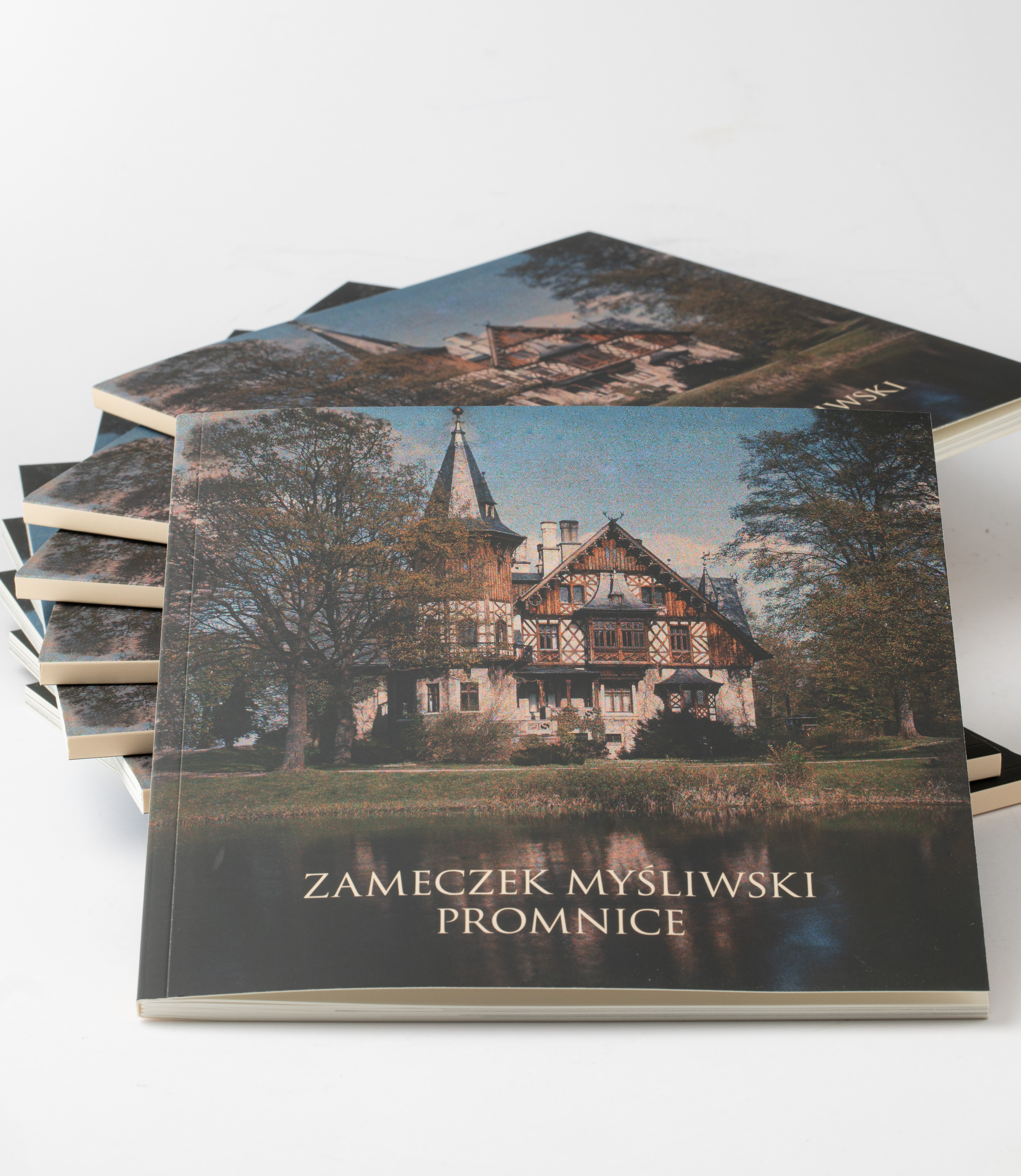 Publikacja - Zameczek Myśliwski Promnice